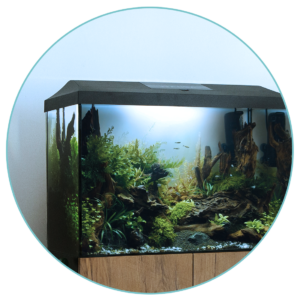 BiotopAquariumLiveContest-AquariumRund-2